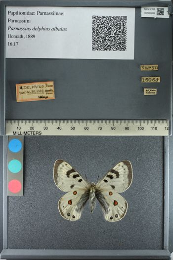 Media type: image;   Entomology 180408